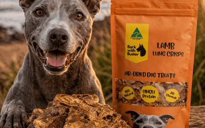 Best Treats for Toilet Training Puppies Australia (What Works Fast in 2026) - Bark with Buster
