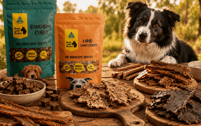 What Are Air Dehydrated Dog Treats? - Bark with Buster