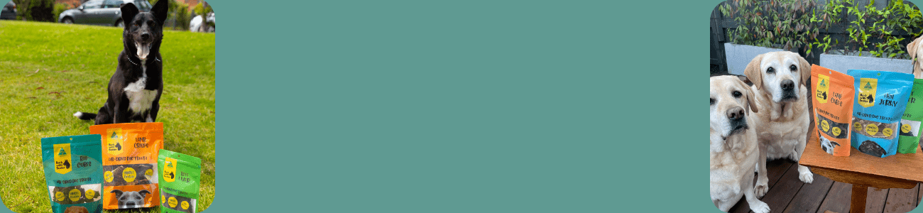 Black Friday dog treats displayed with happy dogs enjoying natural Aussie-made snacks.