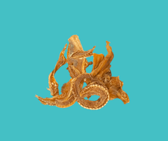 Fish jerky Dog Treats on Blue Background