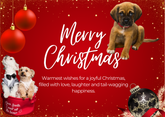 Christmas card with puppies and ornaments on a red background Merry Christmas from Bark with Buster