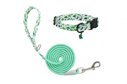 Dino dog collar