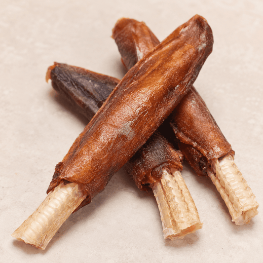 Australian Seafood Drumstick Dog Chews - Bark with Buster