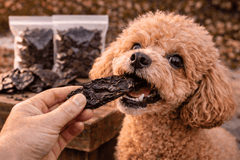 Bulk Kangaroo Liver Dog Treats – 3kg Bundle (3 x 1kg Bags) - Bark with Buster