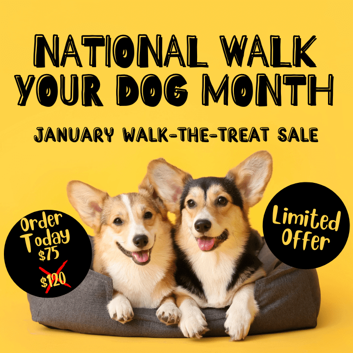 National Walk Your Dog Box Australia Dog Box - Bark with Buster