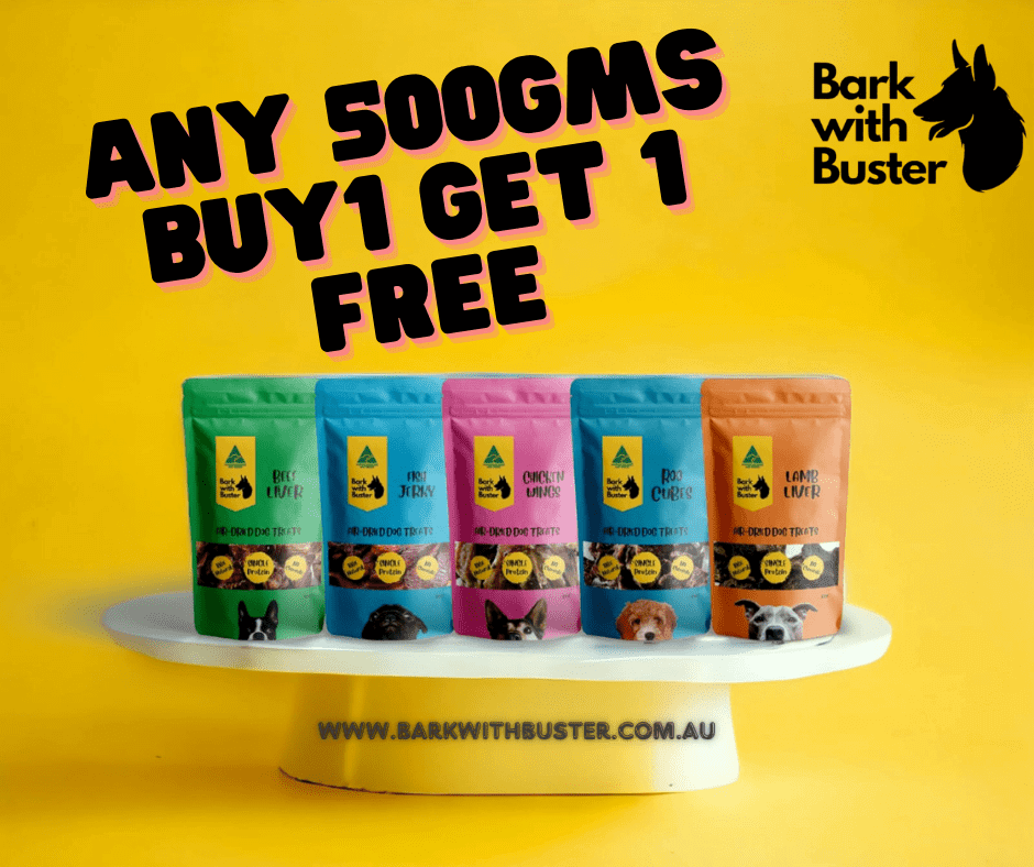 Dog Treats Buy 1 Get 1 Free - 500g premium packs in colorful bags on a bright yellow background.