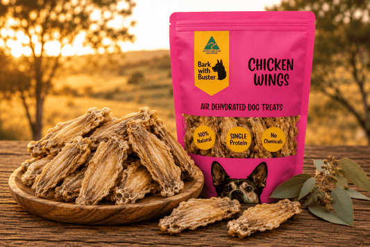 Chicken Wing Dog Treats Australia | Natural Crunchy Dog Chews - Bark with Buster