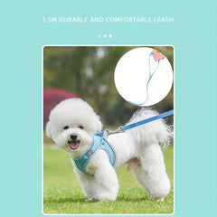 Comfort Harness & Dog Leash Set - Bark with Buster