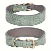 Embossed green leather dog collar with printed design and metal buckle
