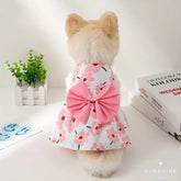 pink dog dress