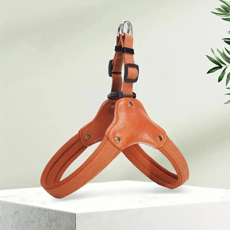 Dog Harness