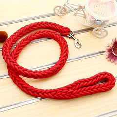 Braided dog leash