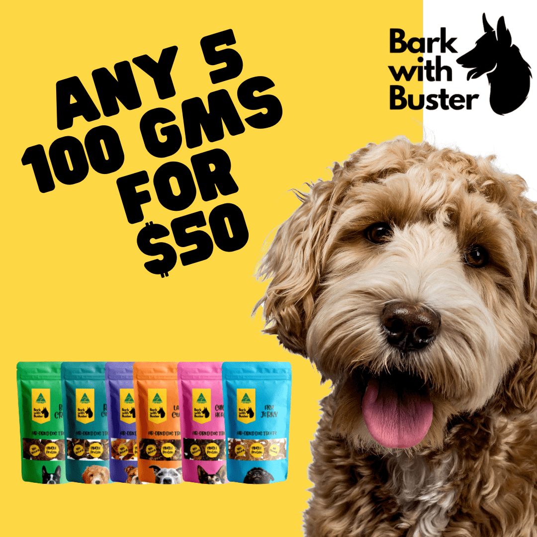 Dog treats bundle featuring 5 x 100g packs on a bright background with a friendly dog.