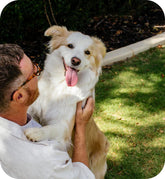 Barking for Australia