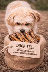 Duck Feet Dog Treats Australia – Natural Crunchy Dog Chews - Bark with Buster