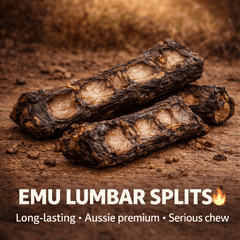 Emu Lumbar Split Dog Chews – Natural Australian Long - Lasting Treats - Bark with Buster