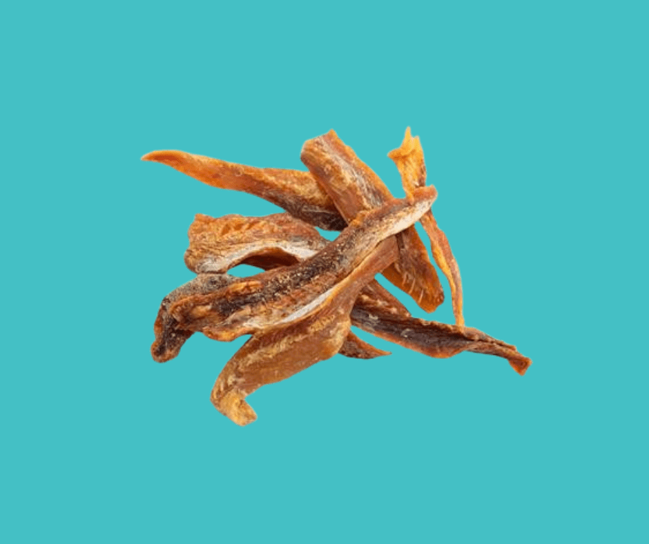 Fish Fingers Dog Treats on a aqua background