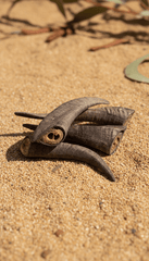 Goat Horn Dog Treats – Super Long - Lasting Natural Chew - Bark with Buster