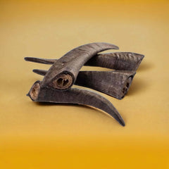 Goat Horn Dog Treats on yellow background