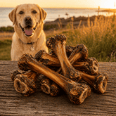 Kangaroo Femur Bones for Dogs – Long - Lasting Natural Chews - Bark with Buster