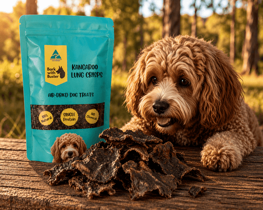 Kangaroo Lung Crisps Dog Treats – Low Fat Crunchy Rewards - Bark with Buster