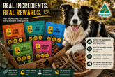 Medium Dog Treat Gift Bundle - Bark with Buster