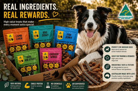 Medium Dog Treat Gift Bundle | Natural Dog Treats - Bark with Buster
