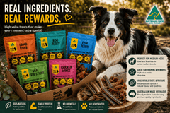 Medium Dog Treat Gift Bundle | Natural Dog Treats - Bark with Buster