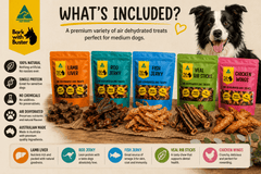 Medium Dog Treat Gift Bundle | Natural Dog Treats - Bark with Buster
