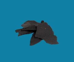 Kangaroo Liver on blue background