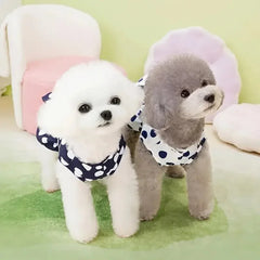 Summer Dog Clothing