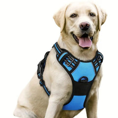 Reflective dog harness no pull on a Labrador, designed for comfort and visibility during walks.