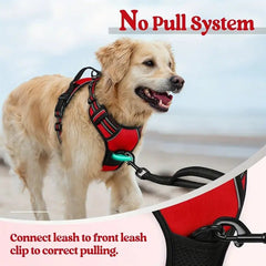 Dog wearing a reflective dog harness no pull with a no pull system for comfortable and safe walks.