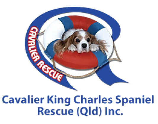 Cavalier King Charles Spaniel Rescue Queensland logo