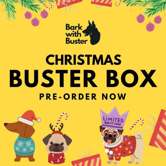 Spoil Your Pup This Christmas with the Buster Box