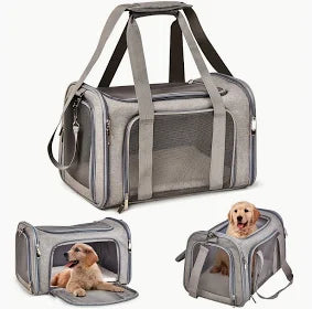 Dog in soft sided carrier crate ready for travel