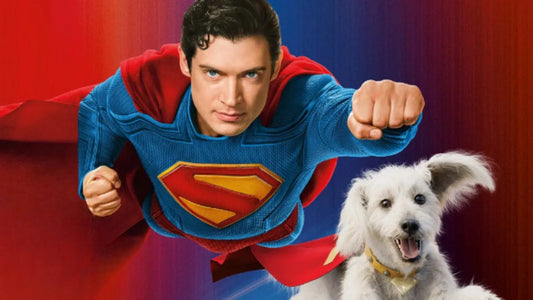 Krypto the Superdog flying with Superman. How dog adoption searches have increased