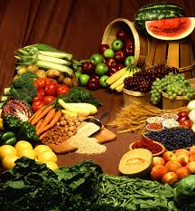 Top 10 Healthy Foods Dogs Can Eat