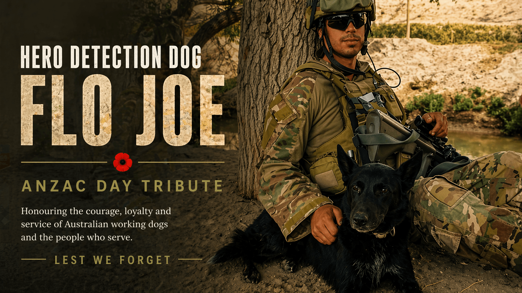 ANZAC Day Tribute: Hero Detection Dog Flo Joe Who Saved Lives In Afghanistan - Bark with Buster