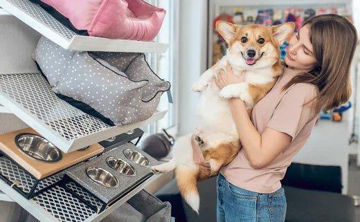 Bark with Buster’s First-Ever Black Friday Sale – 2 FOR 1 on Dog Treats! - Bark with Buster