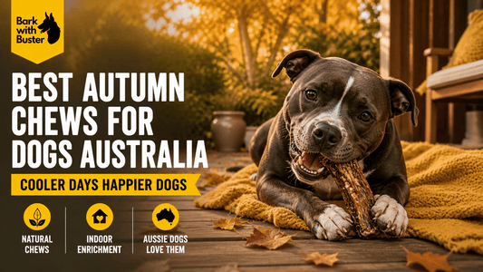 Best Autumn Chews for Dogs Australia in 2026 - Bark with Buster