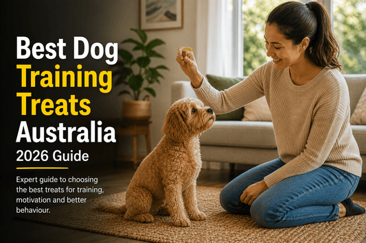 Best Dog Training Treats Australia (2026 Guide) - Bark with Buster