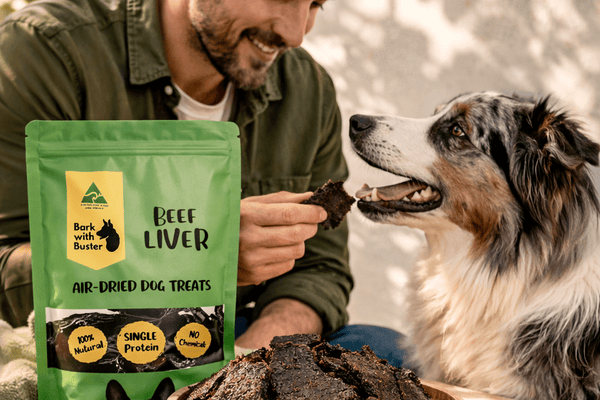 Best Dog Treats for Sensitive Stomachs Australia | Natural Sensitive Dog Guide