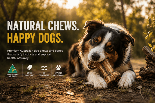 Best Long Lasting Dog Chews For Aggressive Chewers Australia - Bark with Buster