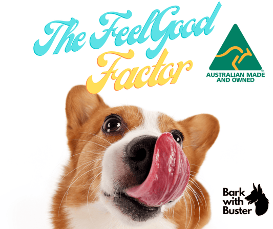 Best Natural Dog Treats in Australia (2025 Buyer’s Guide) - Bark with Buster