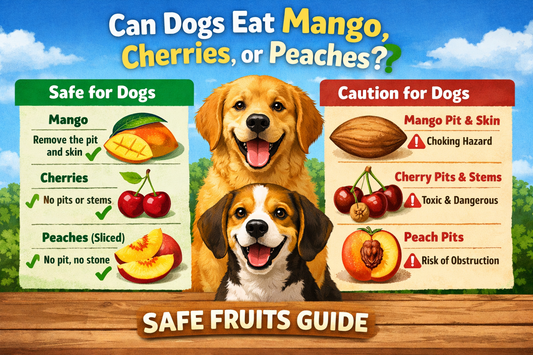Can Dogs Eat Mango, Cherries, or Peaches? Safe Fruits Guide - Bark with Buster
