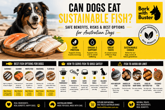 Can Dogs Eat Sustainable Fish? - Bark with Buster