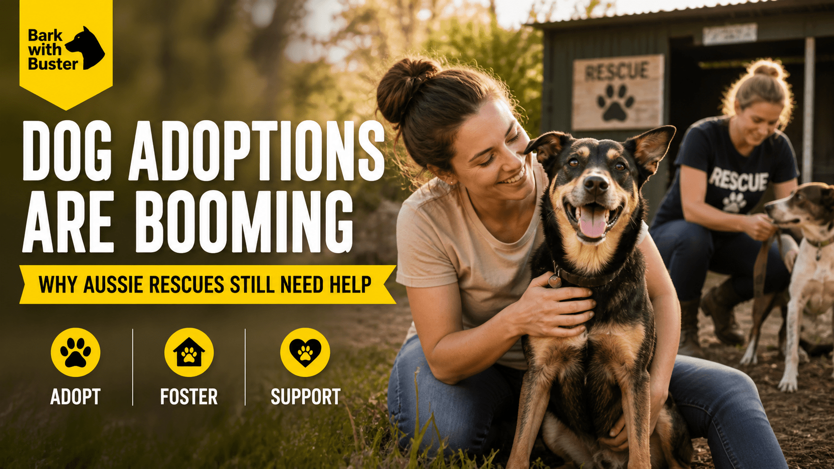 Dog Adoptions Are Booming — Why Aussie Rescues Are Still Struggling - Bark with Buster