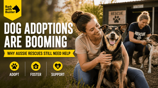 Rescue dog adoption Australia foster care support Bark with Buster