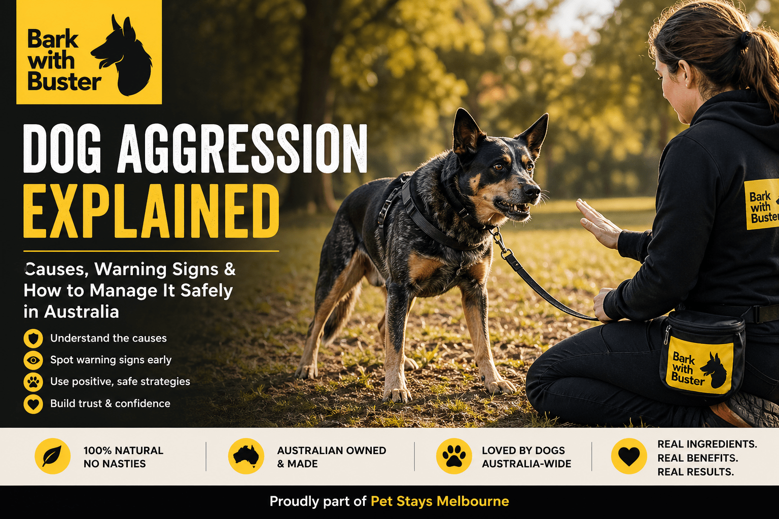 Understanding Aggression in Dogs and How to Manage It - Bark with Buster